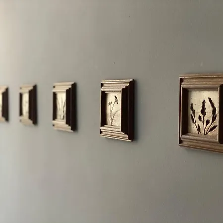 アパート Altstadt Fereienwohnung ハーメルン