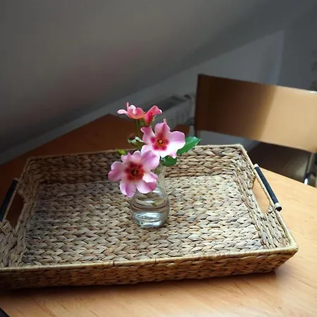 Altstadt Fereienwohnung Hameln Apartment Hamelin
